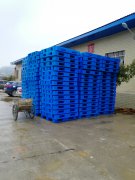 ����ʡ���(y��ng)���ۖ|�h�����(zh��n)ĳ�t(y��)ˎ��˾��ُ(g��u)5000�������бP